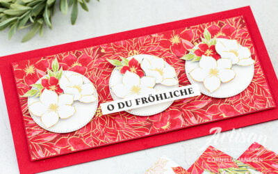 Christrosen und Weihnachtssterne