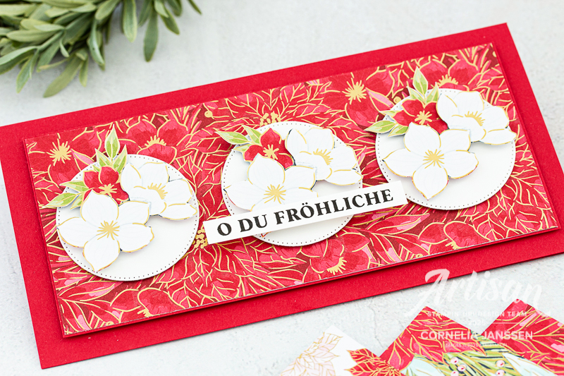 Christrosen und Weihnachtssterne